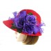 Red Hat Derby Dress Church Bonnet Chiffon Ruffle Roses Lady Bug Society Ladies  eb-84213233